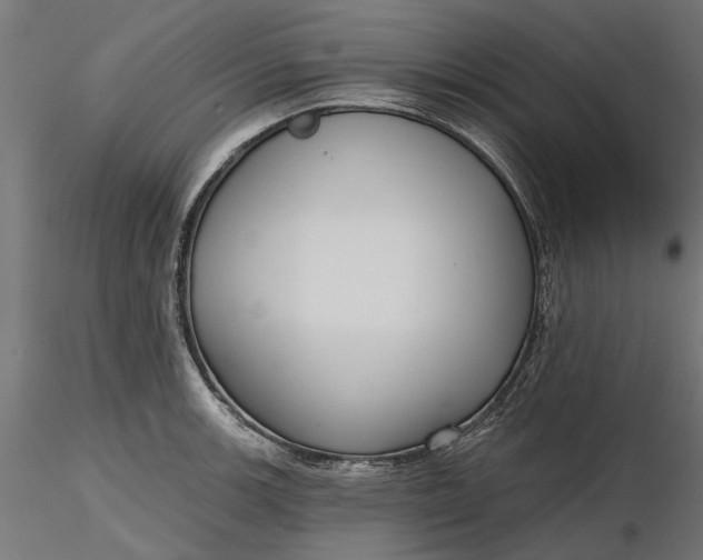 X0000116851139201001051501