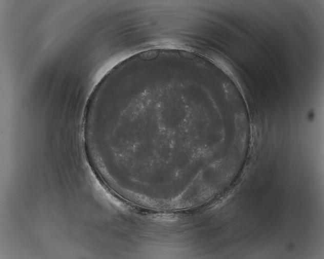 X0000116851141201001051501