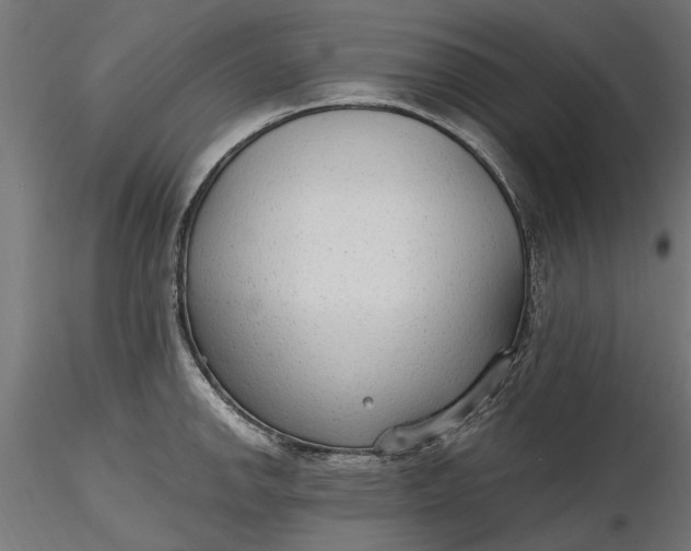 X0000116851142201001051501