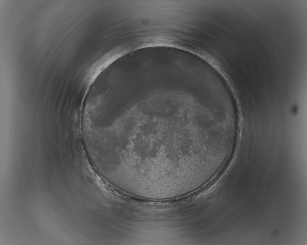 X0000116851145201001051501
