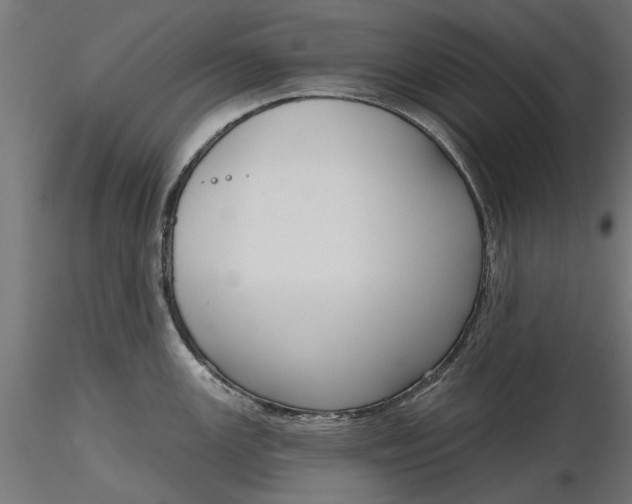 X0000116851147201001051501