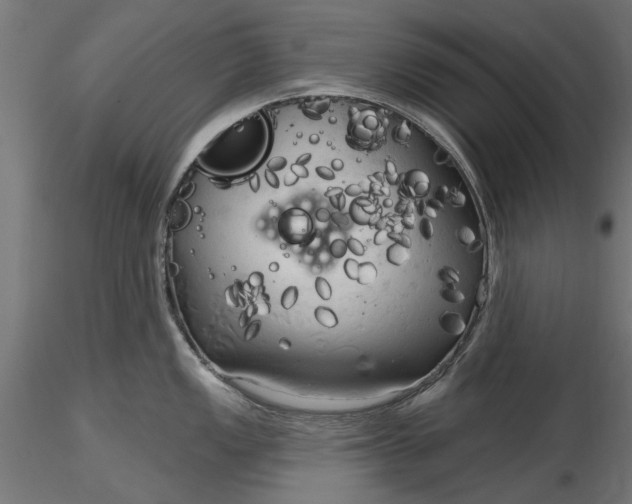 X0000116851149201001051501