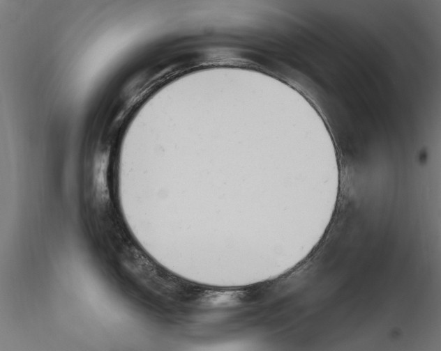 X0000116851150201001051501