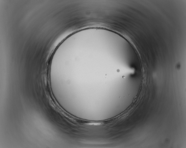 X0000116851151201001051501