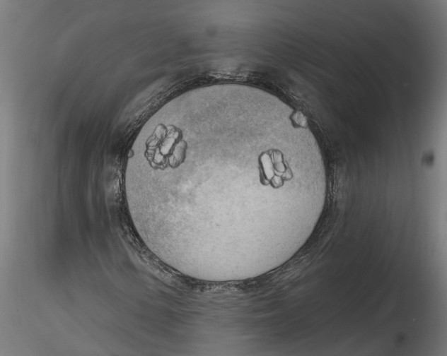 X0000116851154201001051500
