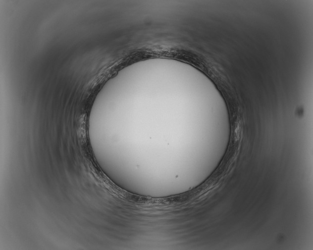 X0000116851156201001051500