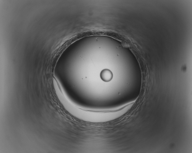 X0000116851157201001051500