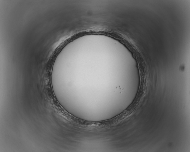 X0000116851160201001051500