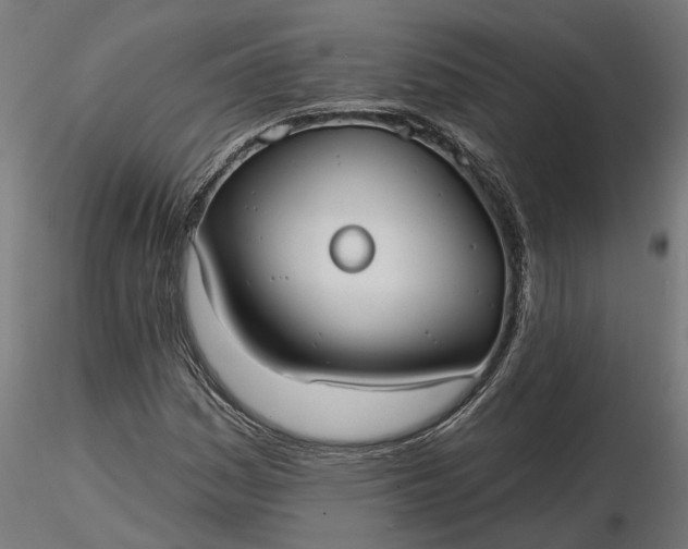 X0000116851161201001051500