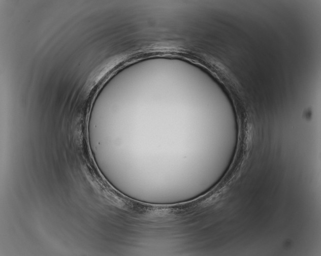 X0000116851162201001051500