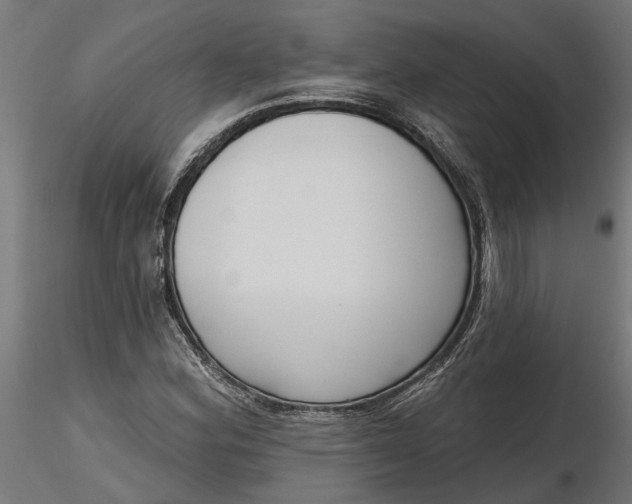 X0000116851164201001051500