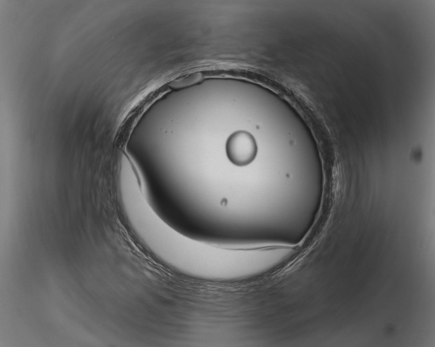 X0000116851165201001051500