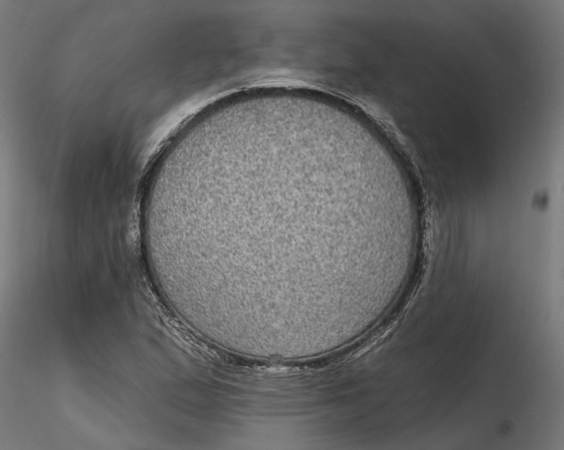 X0000116851167201001051500