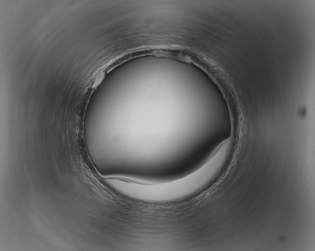 X0000116851169201001051500