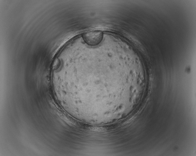 X0000116851170201001051500