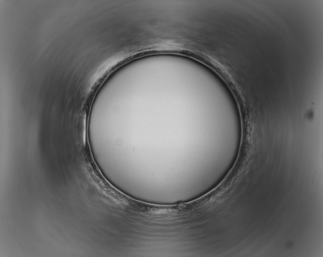X0000116851171201001051500
