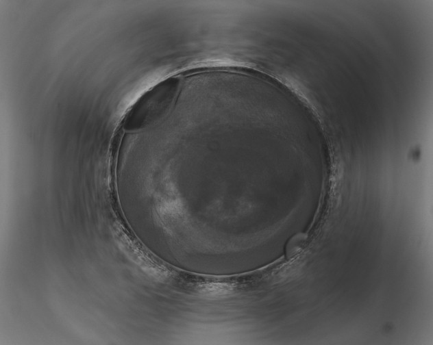 X0000116851173201001051500