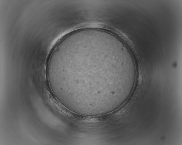 X0000116851174201001051500