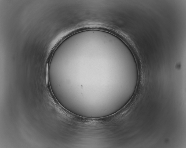 X0000116851175201001051500
