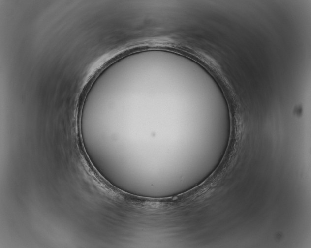 X0000116851176201001051500