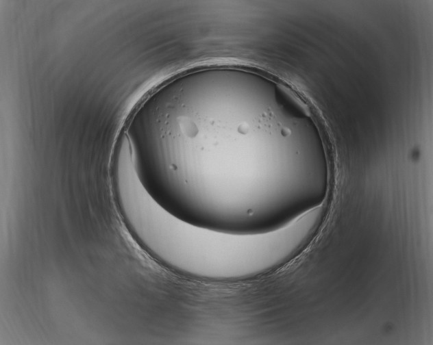 X0000116851181201001051500