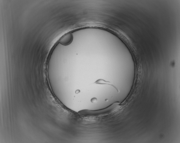 X0000116851182201001051500