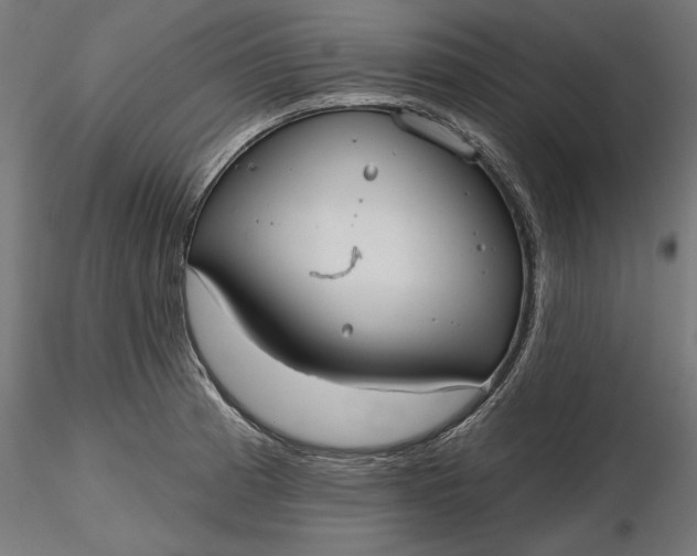 X0000116851185201001051500
