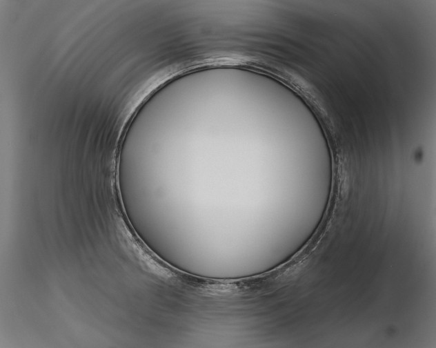 X0000116851186201001051500