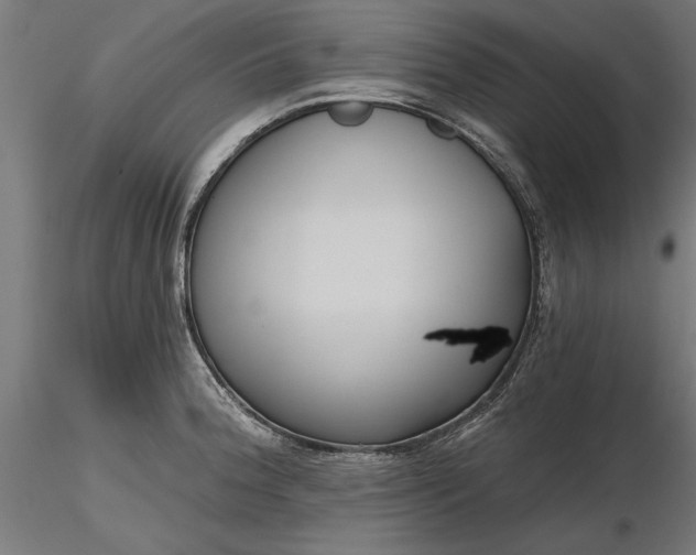X0000116851188201001051500