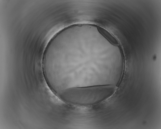 X0000116851189201001051500