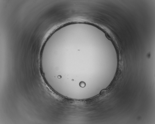X0000116851191201001051500