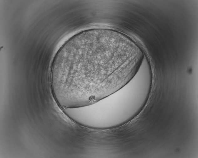 X0000116851192201001051500