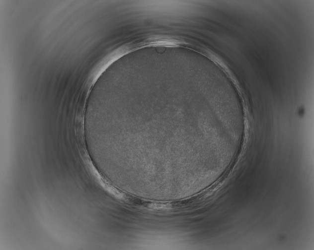 X0000116851194201001051459