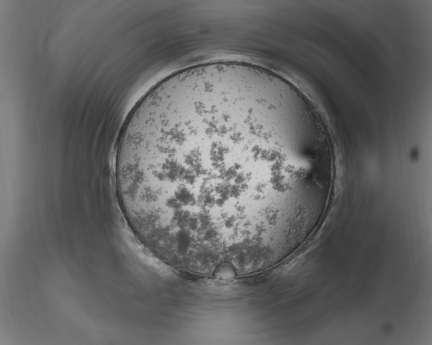 X0000116851198201001051459