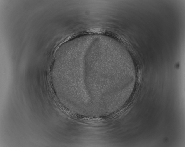 X0000116851201201001051459