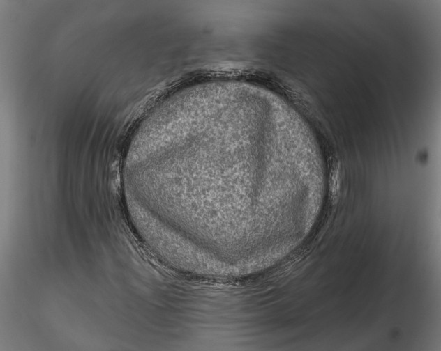 X0000116851204201001051459
