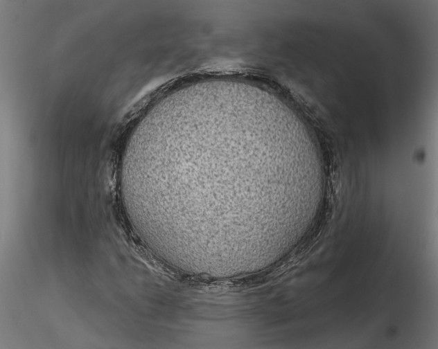 X0000116851206201001051459