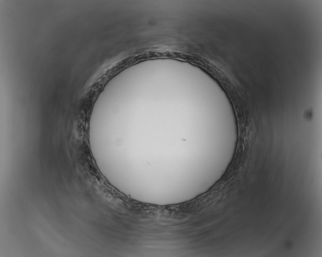 X0000116851207201001051459