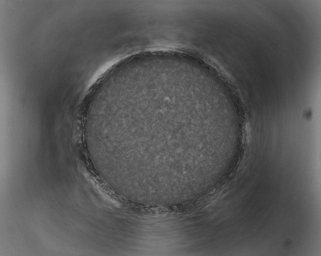 X0000116851208201001051459