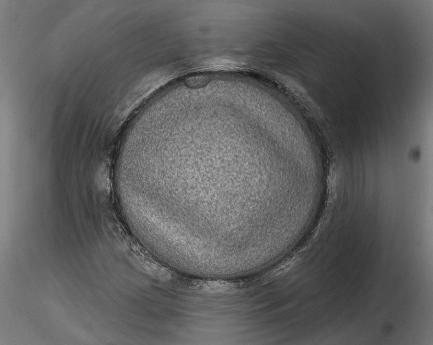 X0000116851209201001051459