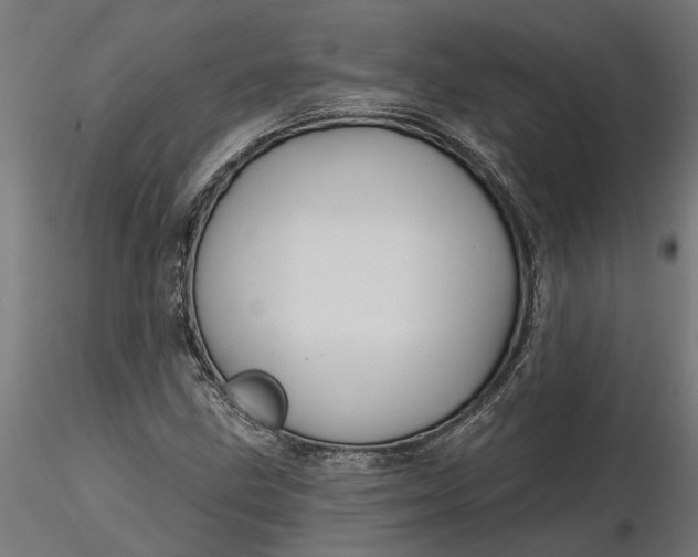 X0000116851211201001051459