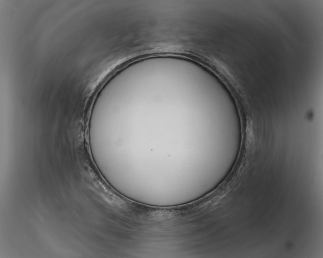X0000116851212201001051459