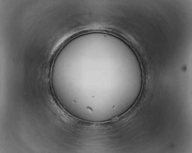 X0000116851216201001051459