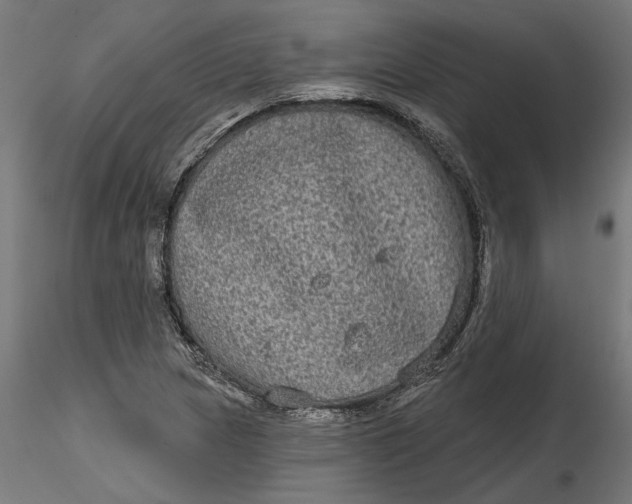 X0000116851217201001051459