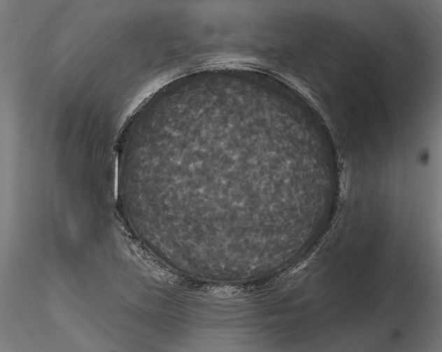 X0000116851219201001051459