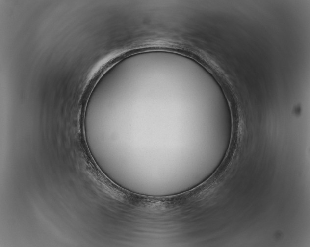X0000116851222201001051459