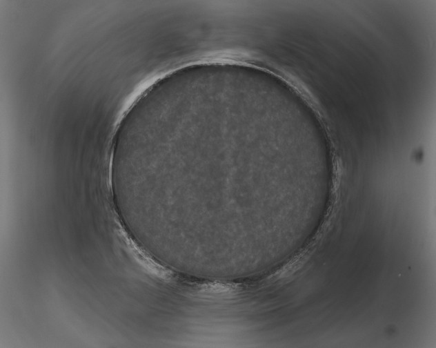 X0000116851224201001051459