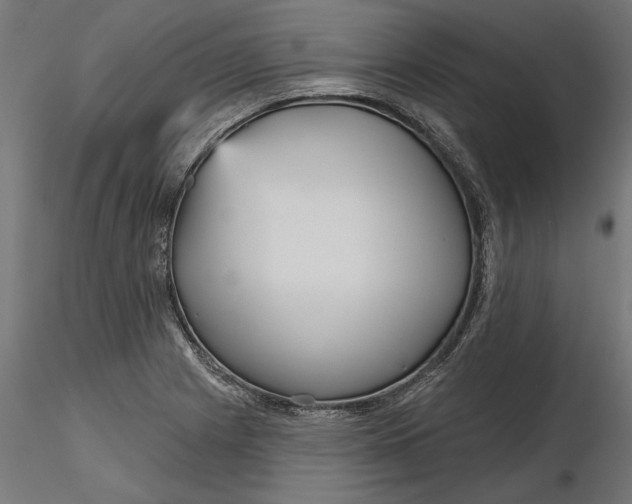 X0000116851225201001051459