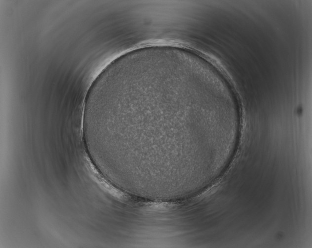 X0000116851228201001051459