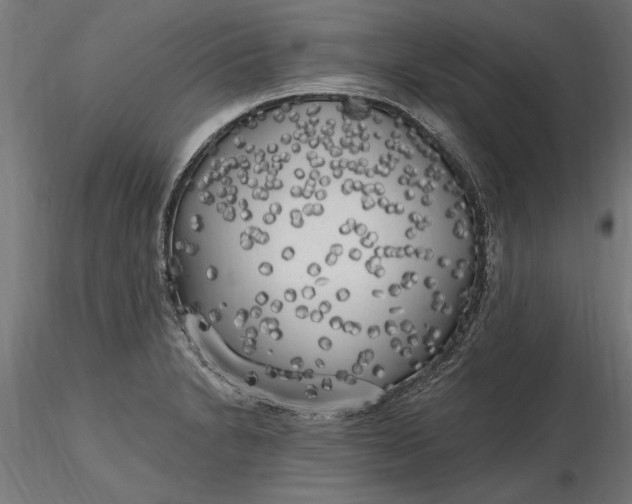 X0000116851230201001051459